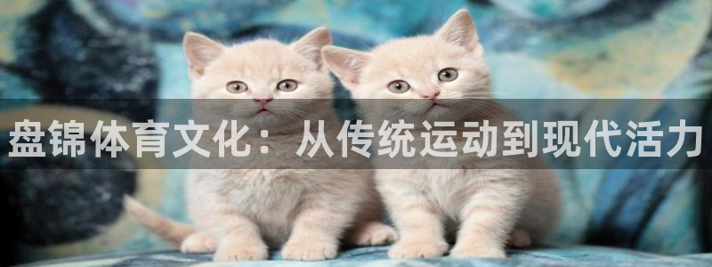 MK体育官网下载招商电话号码是多少啊:盘锦体育文化:从传统运