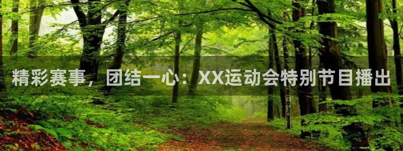 MK体育官方正版app神州:精彩赛事,团结一心:XX运动会特