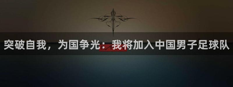 MK体育官方正版app集团logo:突破自我,为国争光:我将