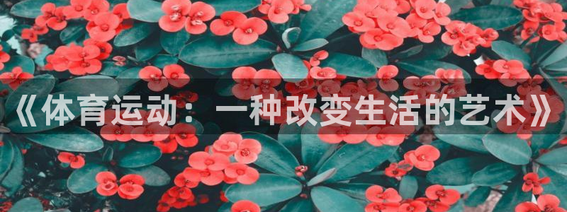 海南MK体育官网下载发展怎么样:《体育运动:一种改变生活的艺